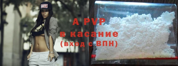 гашик Мегион