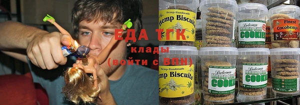 гашик Мегион