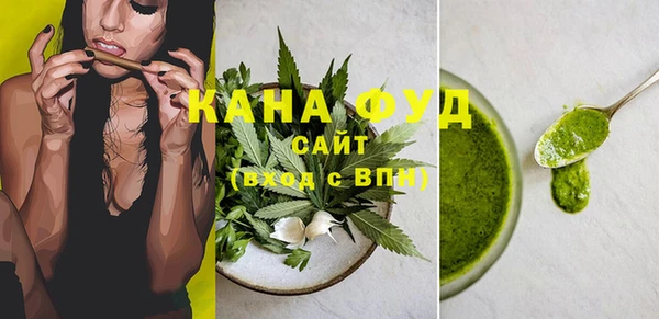 гашик Мегион