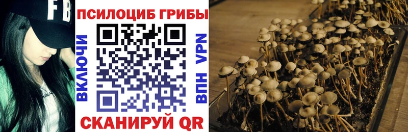 Псилоцибиновые грибы GOLDEN TEACHER  Тутаев 