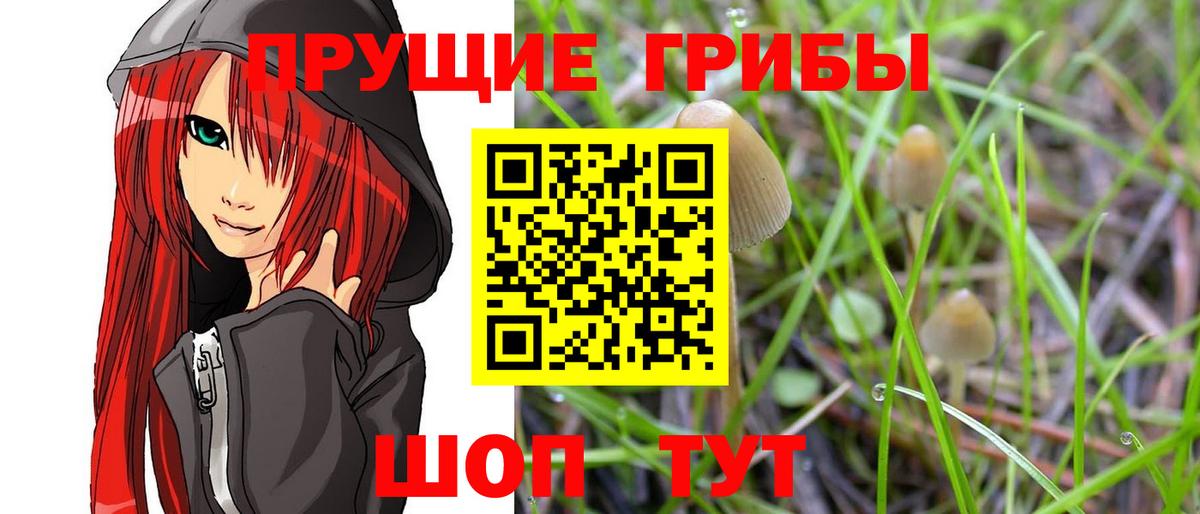Галлюциногенные грибы MAGIC MUSHROOMS  Вход с VPN  Тутаев 