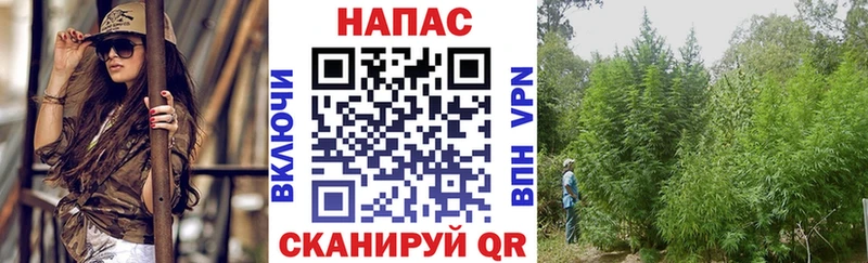 Канабис индика  Тутаев 