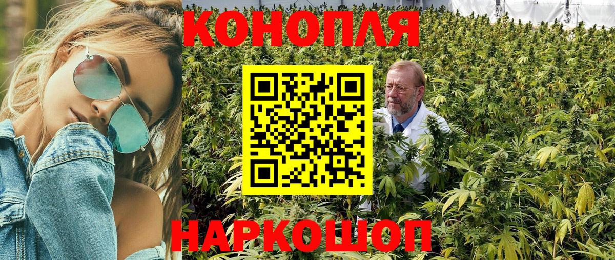 Каннабис тримм  Шишки марихуана семена  Бошки марихуана THC 21%  Тутаев  Вход с VPN 